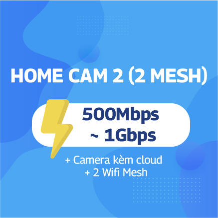 HOME CAM 2 (2 Mesh)